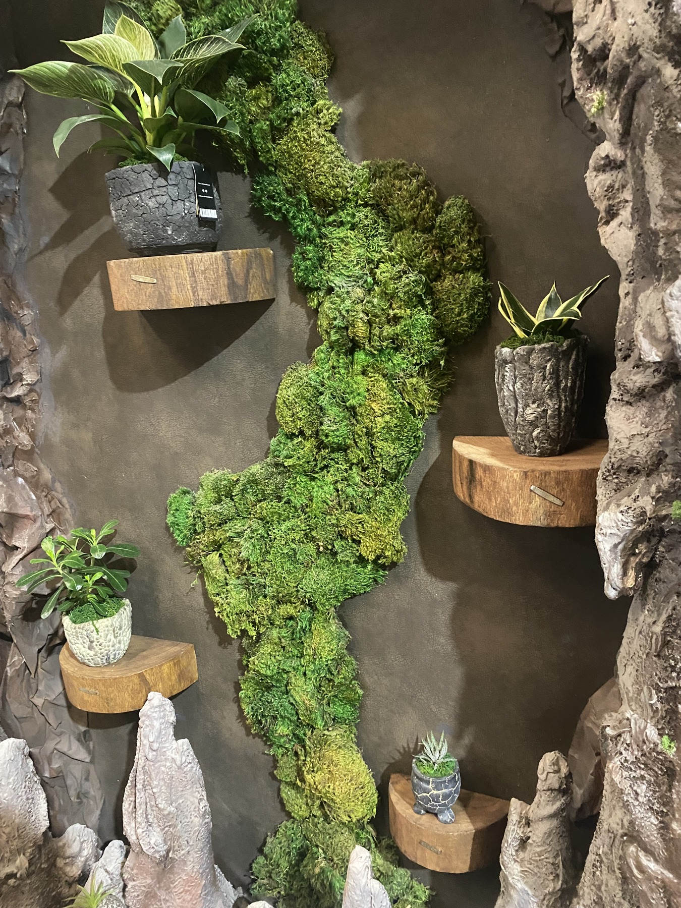 Adding plants and wooden shelves to the installation.